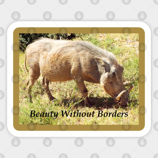 Beauty Without Borders Wart Hog Sticker by HutzcraftDesigns